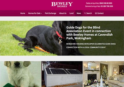 Bewley Blog