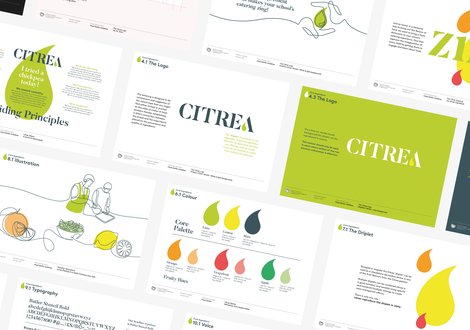 Citrea Guidelines Comp